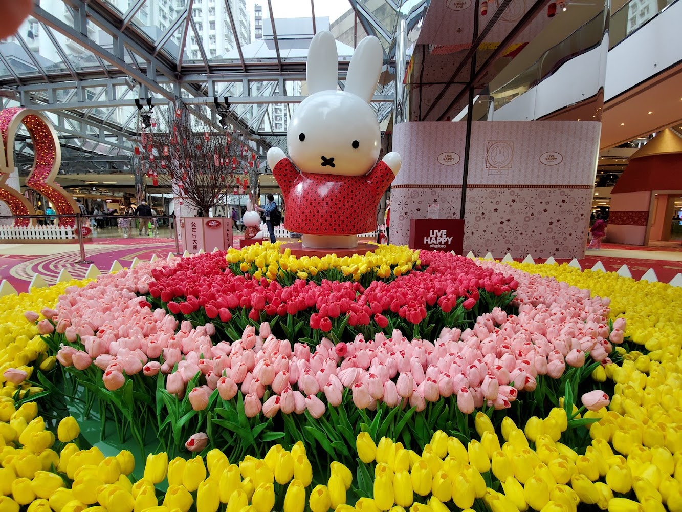 Cityplaza Ice Palace photo 5