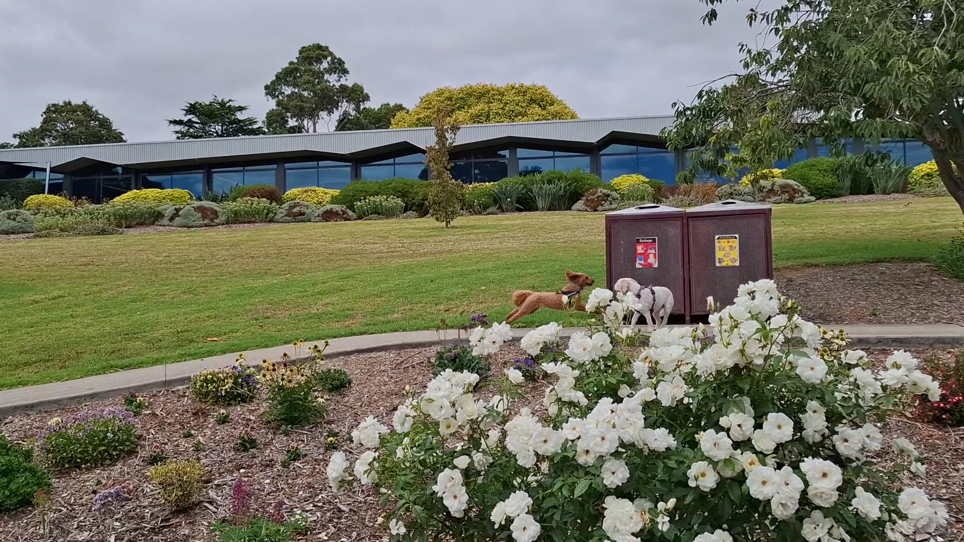 Civic Park Playground photo 2