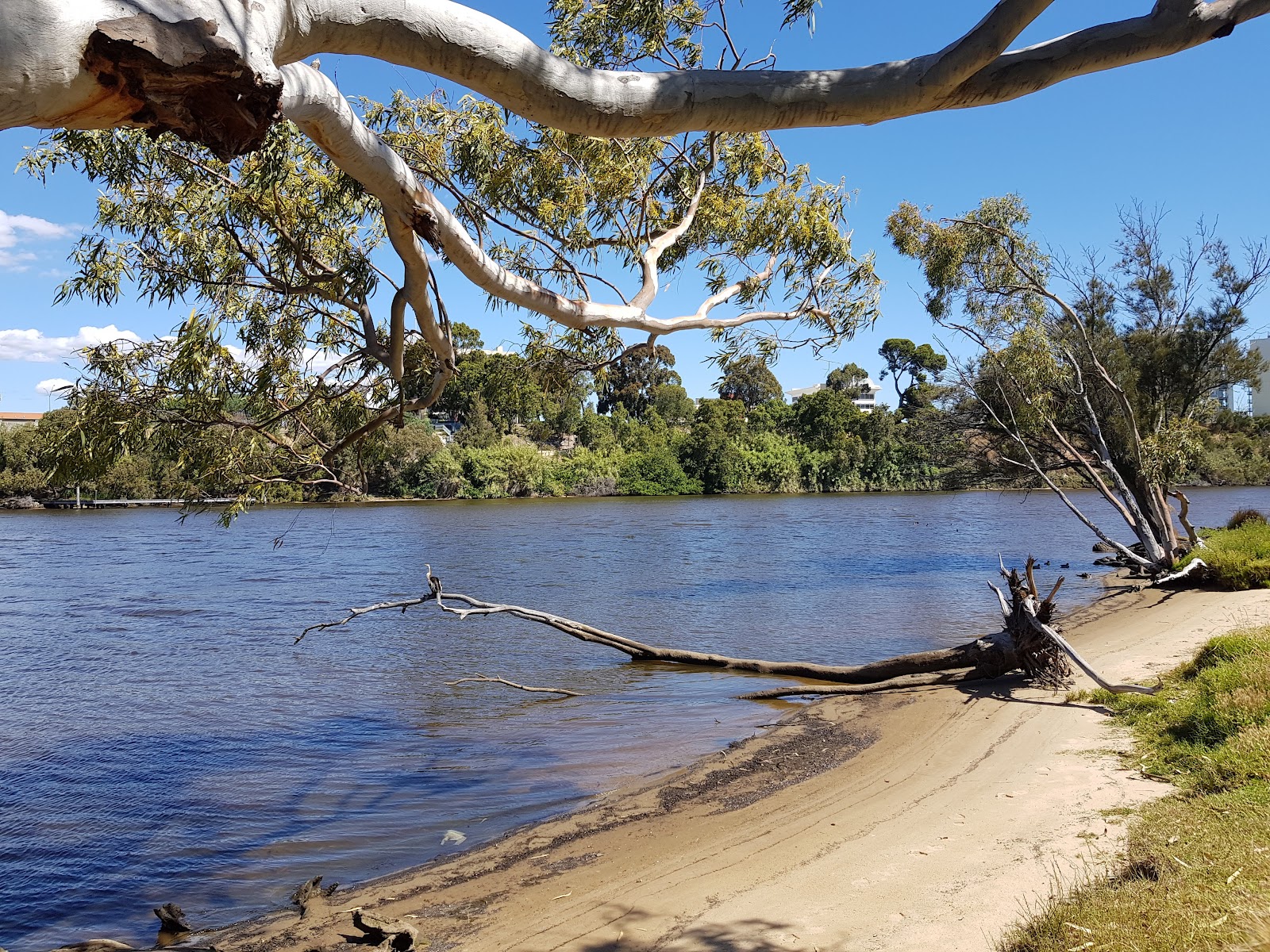 Clarkson Reserve