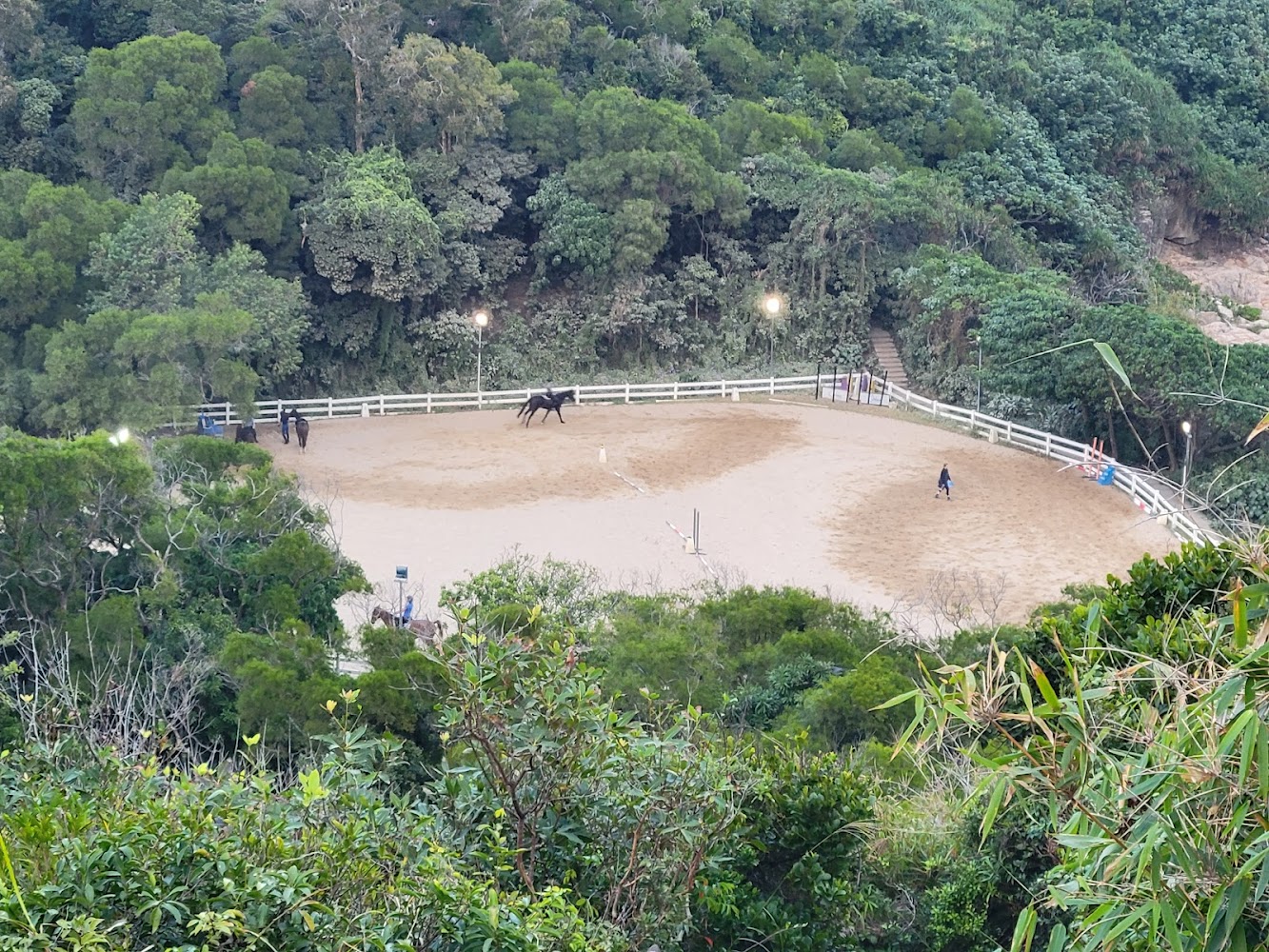Clearwater Bay Equestrian Centre photo 2