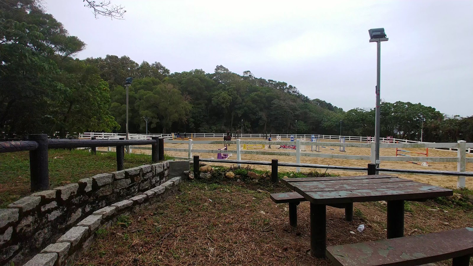 Clearwater Bay Equestrian Centre photo 3