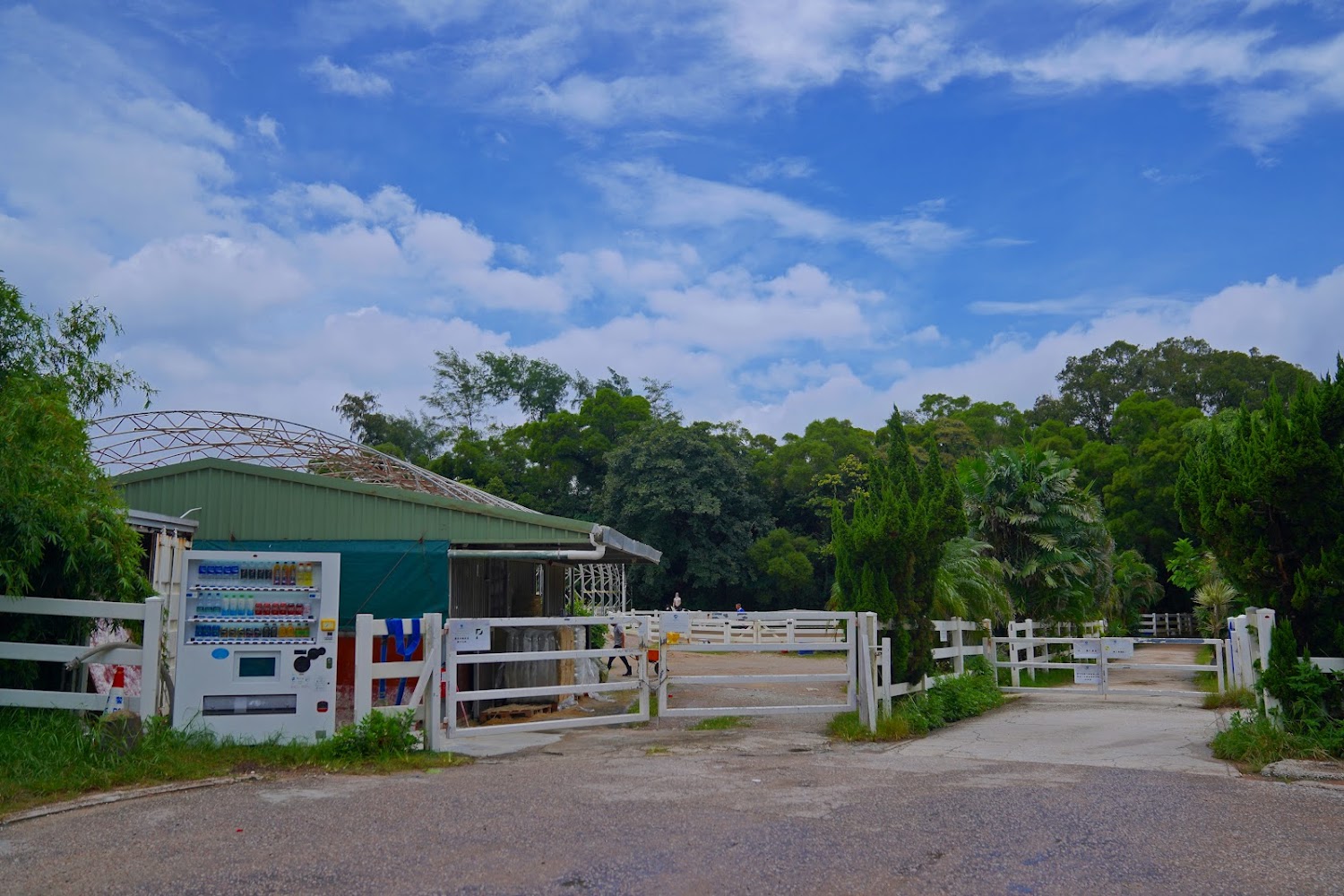 Clearwater Bay Equestrian Centre photo 4