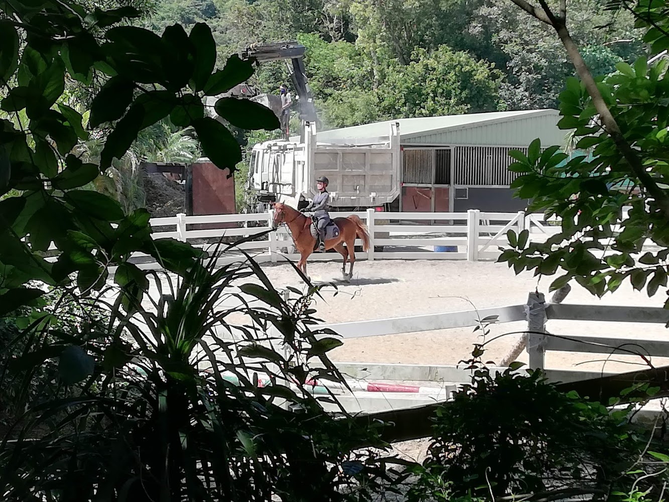 Clearwater Bay Equestrian Centre photo 5