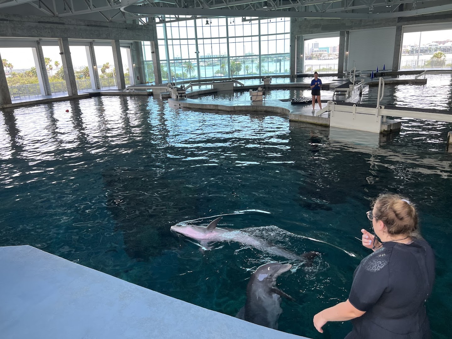 Clearwater Marine Aquarium