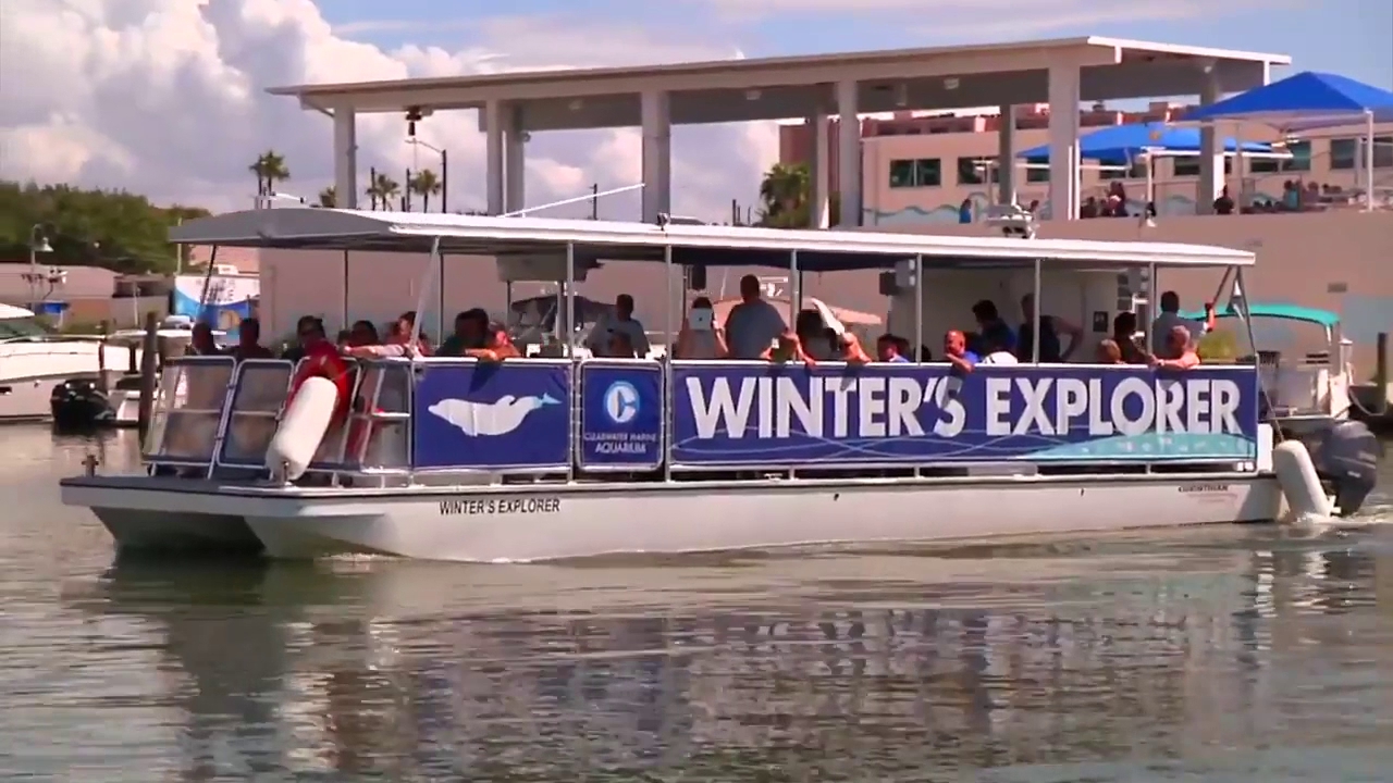 Clearwater Marine Aquarium photo 2