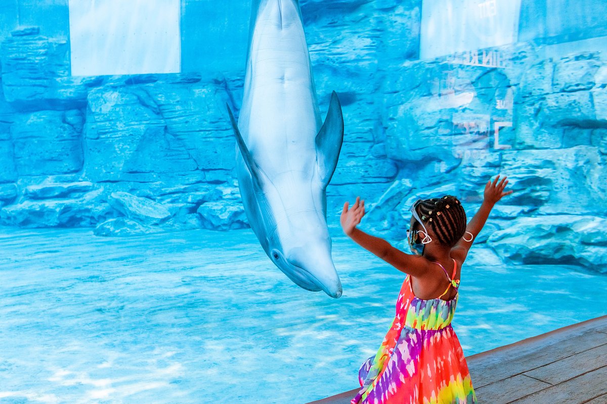 Clearwater Marine Aquarium photo 3