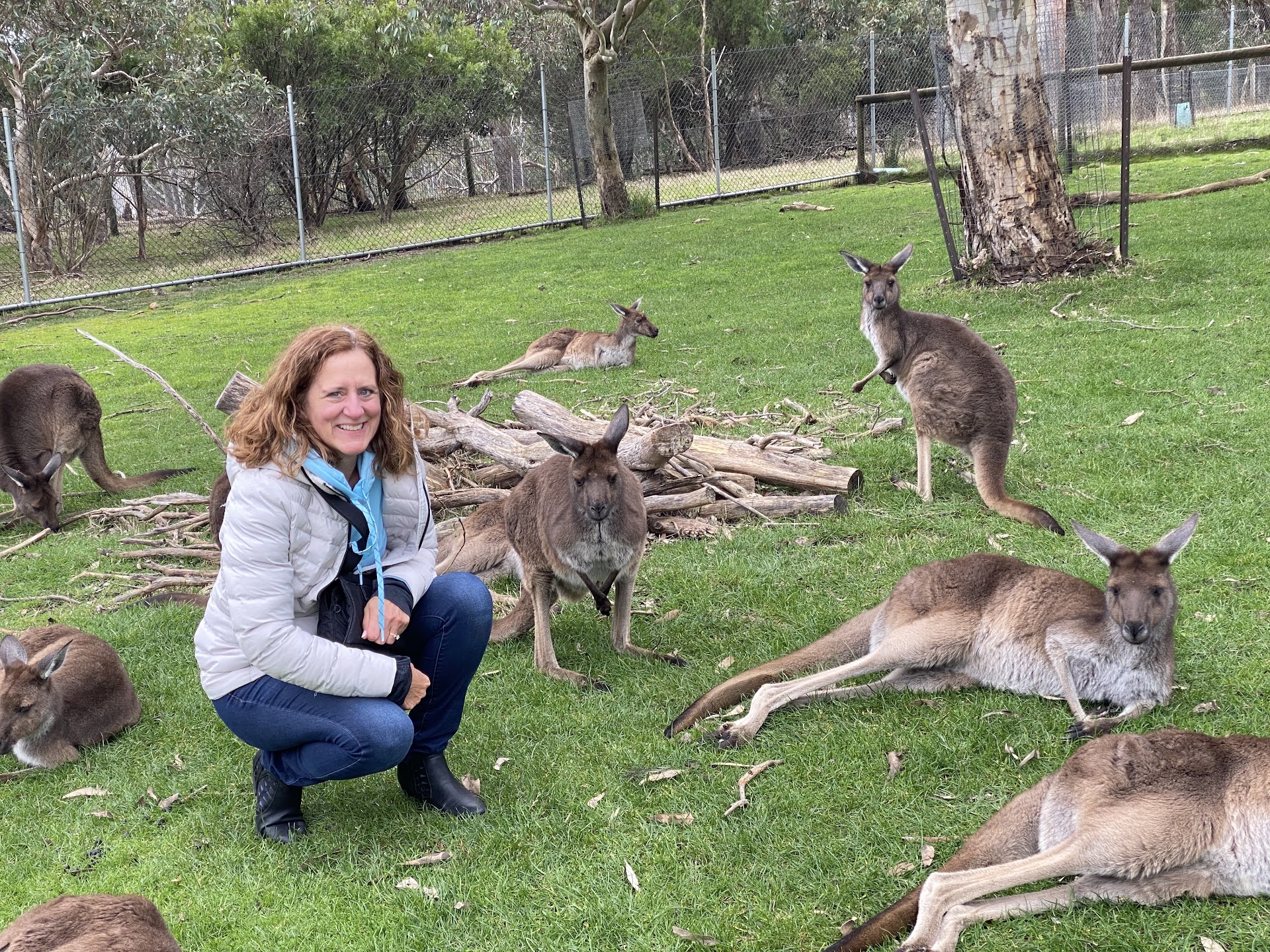 Cleland Wildlife Park photo 3