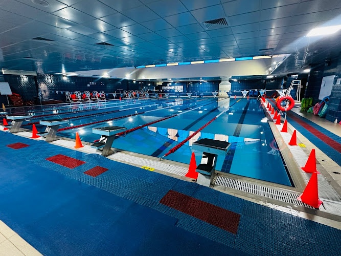 Cleopatra Swimming Academy BRS - MBZ