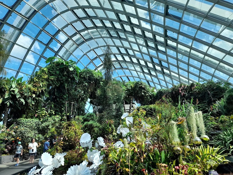 Photo of Cloud Forest in Central