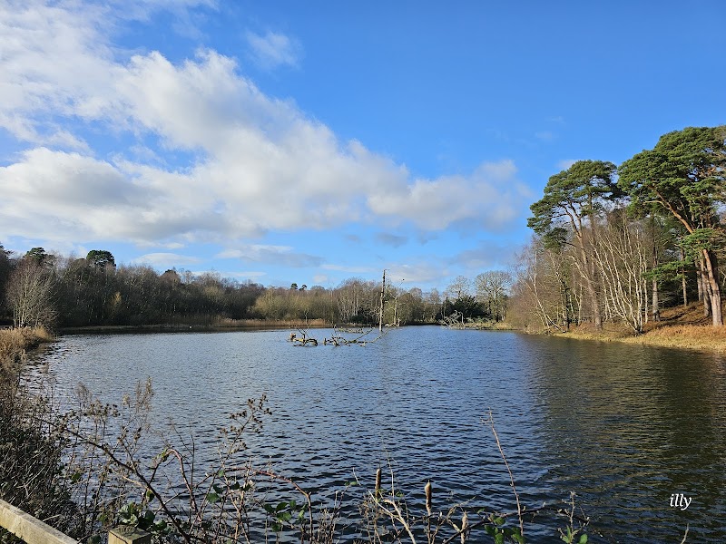 Clumber Park Discovery Centre photo 3