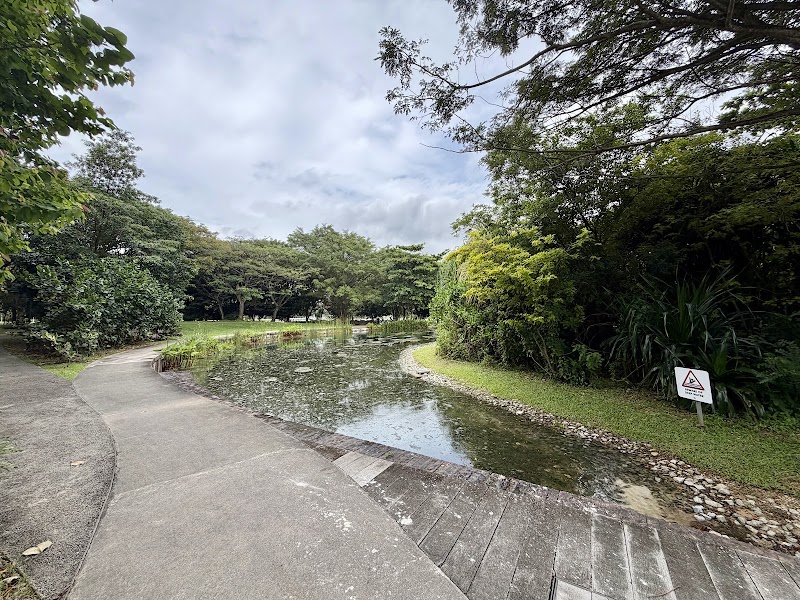 Clusia Cove photo 3