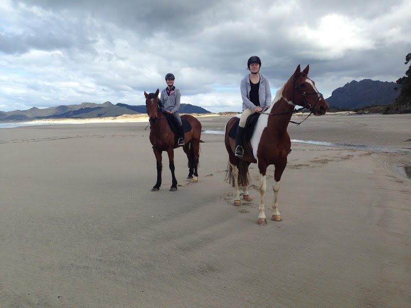 Coastal Riding Whangarei Heads photo 2