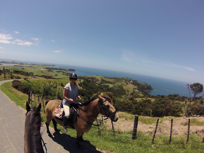 Coastal Riding Whangarei Heads photo 3