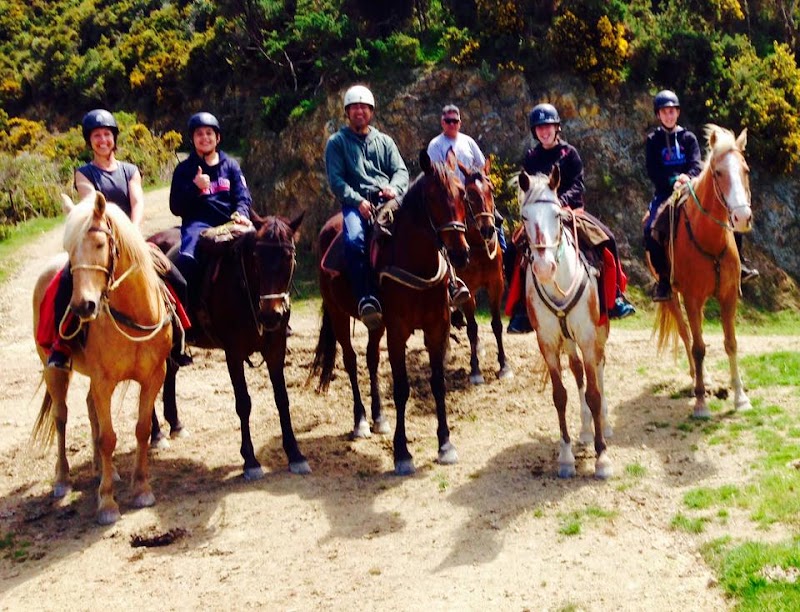 Coastal Views Horse Treks