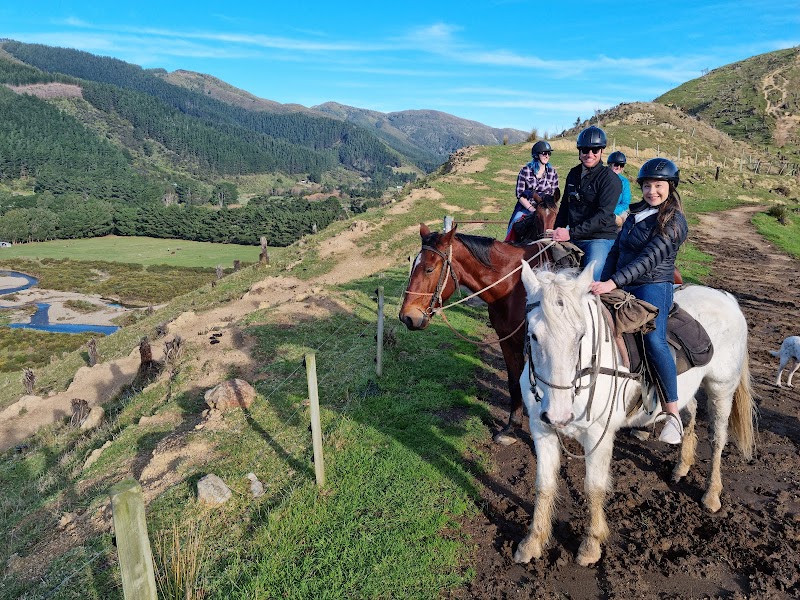Coastal Views Horse Treks photo 3
