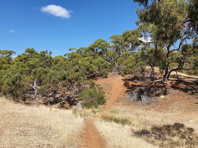 Cobbler Creek Recreation Park photo 2
