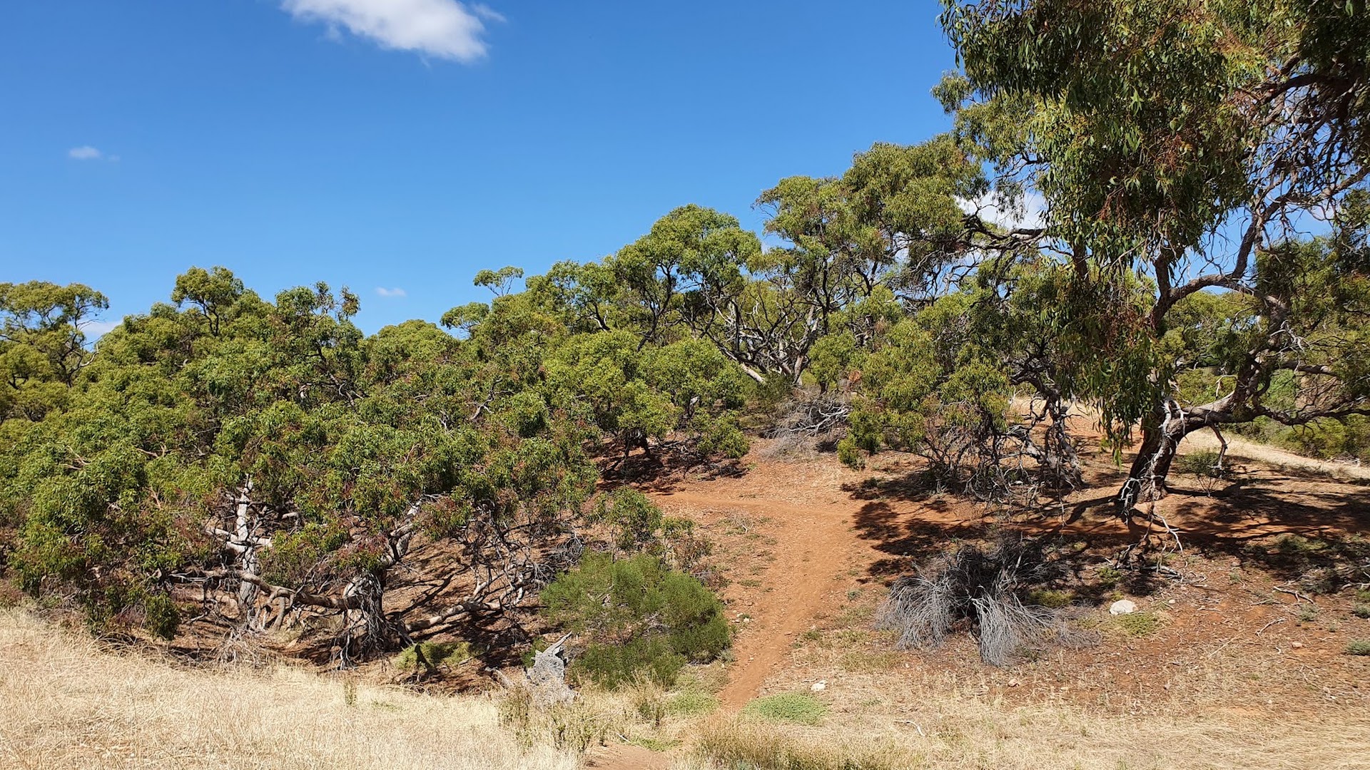 Cobbler Creek Recreation Park photo 3