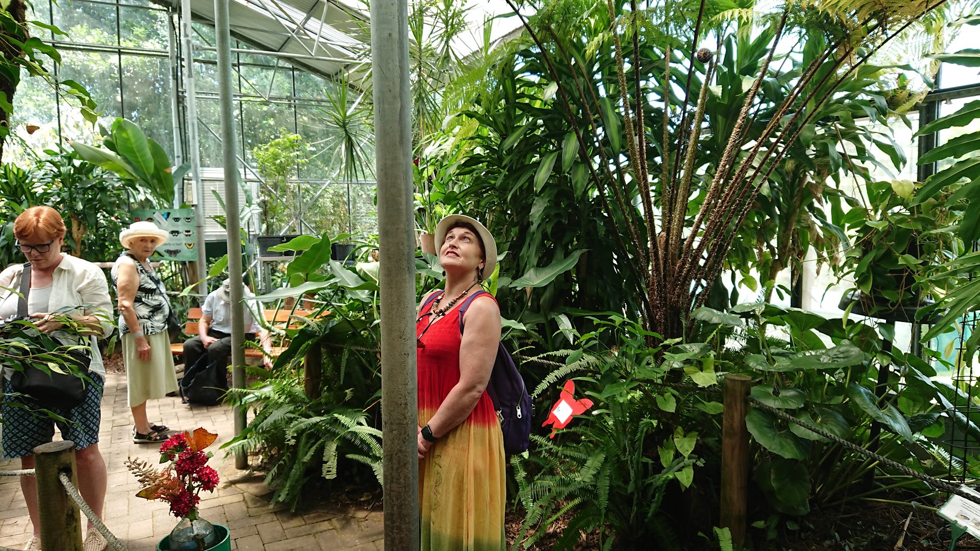 Coffs Harbour Butterfly House
