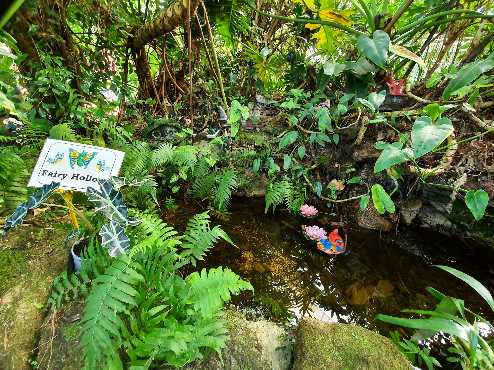 Coffs Harbour Butterfly House photo 3