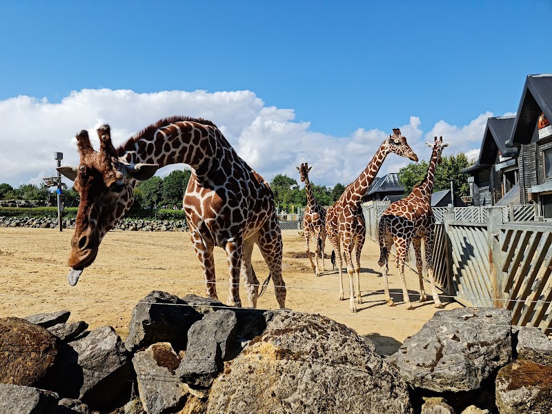 Colchester Zoological Society photo 2