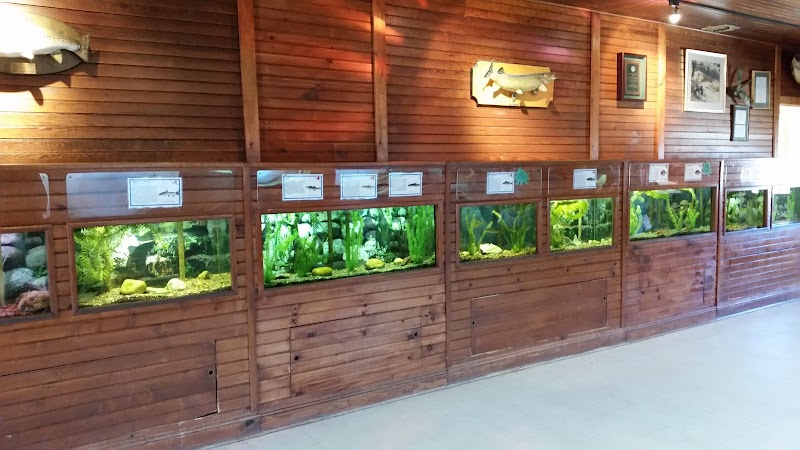 Cold Spring Harbor Fish Hatchery & Aquarium