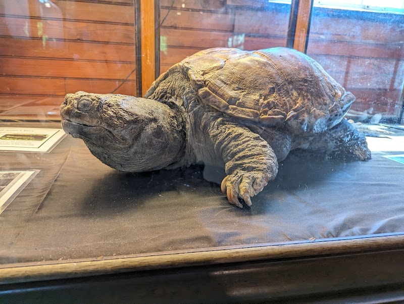 Cold Spring Harbor Fish Hatchery & Aquarium photo 3