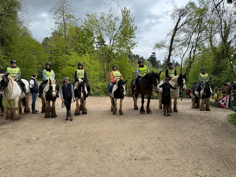 Coloured Cob Trekking Centre Ltd photo 2