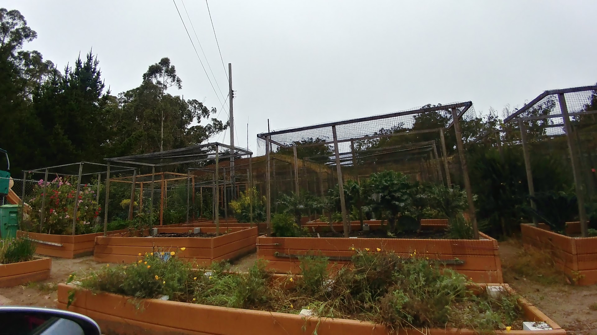 Compton Playground & Community Garden photo 2