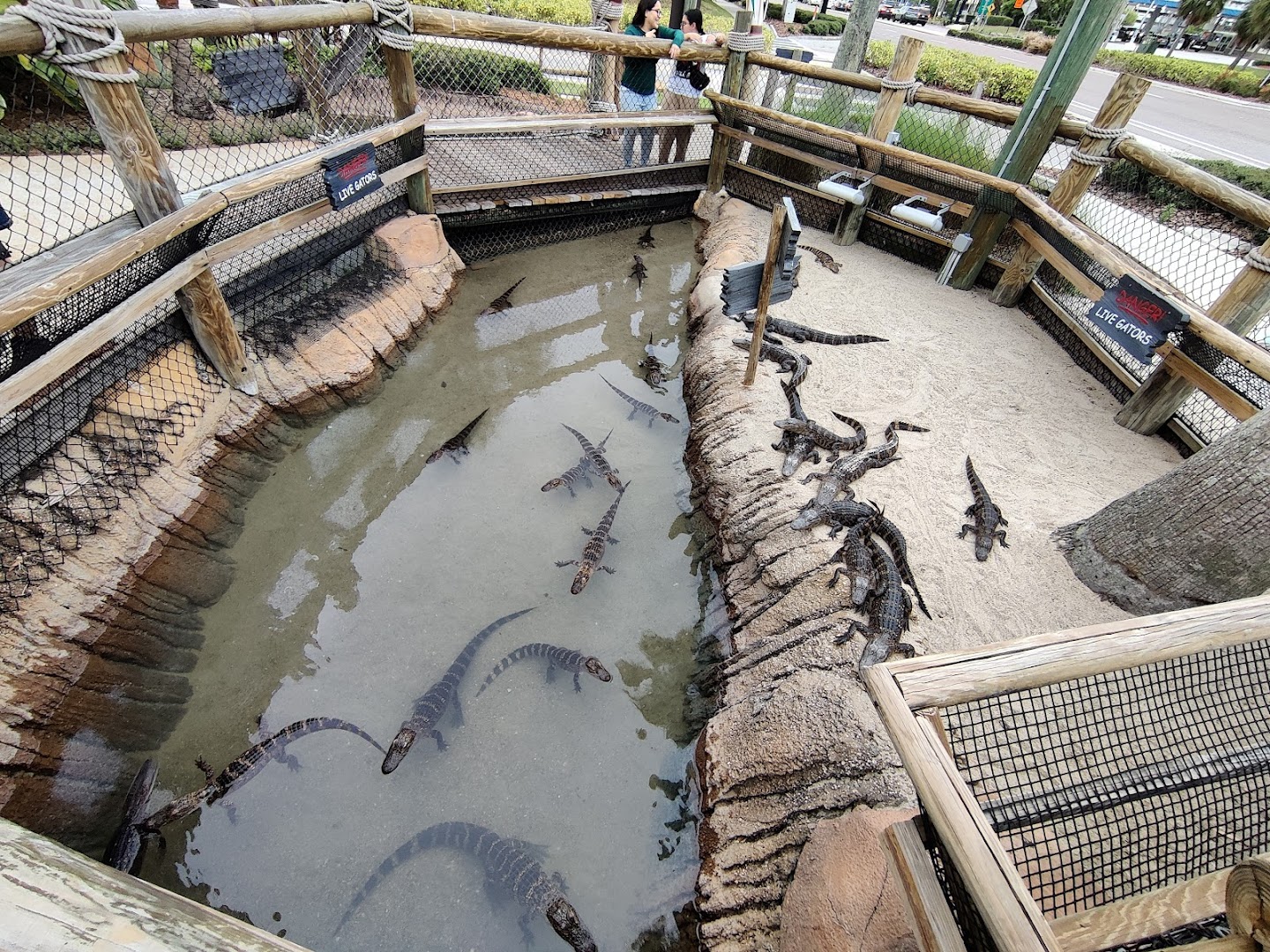 Congo River Golf photo 2