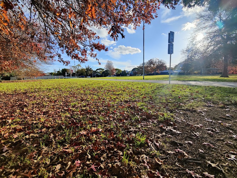Conifer Grove Reserve