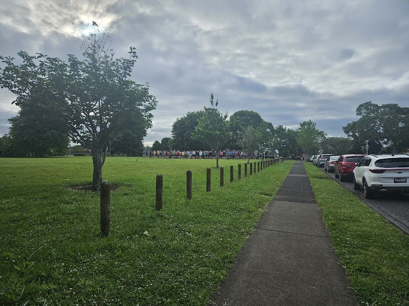 Conifer Grove Reserve photo 2