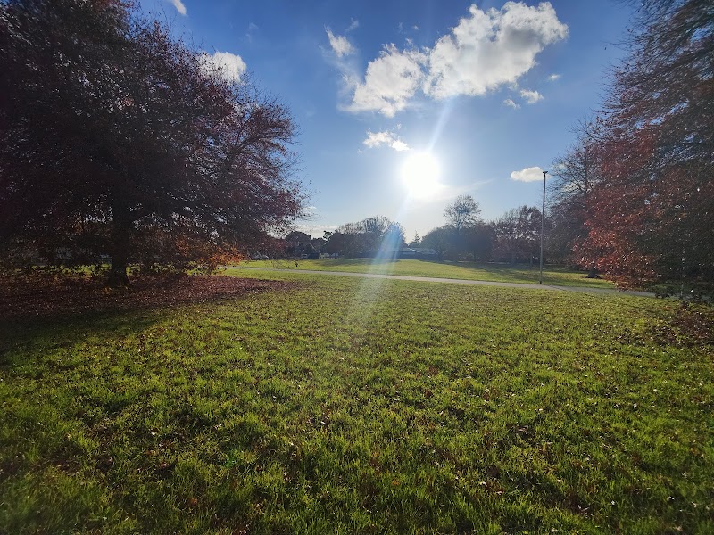Conifer Grove Reserve photo 3