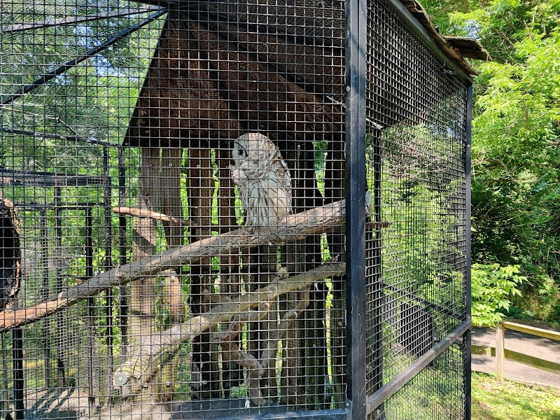 Connecticut's Beardsley Zoo photo 2