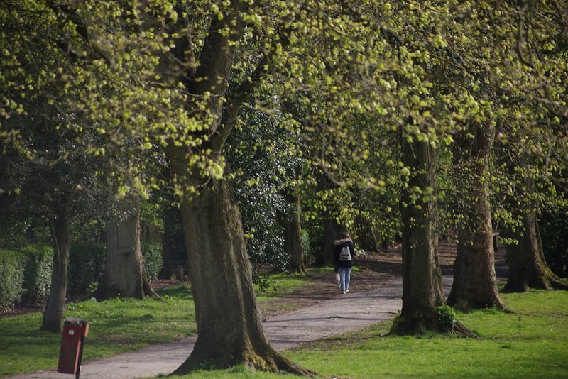 Cotteridge Park photo 3
