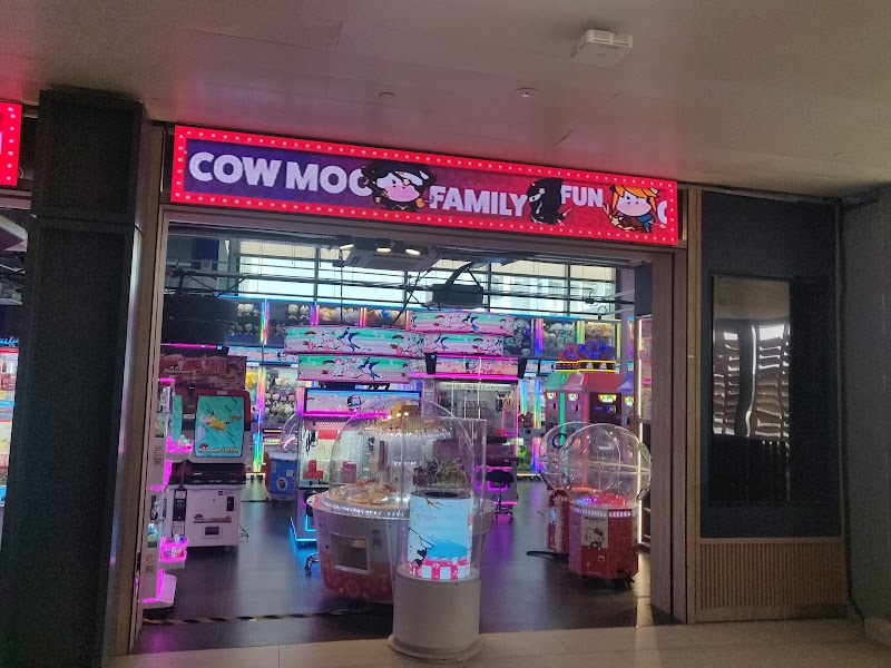 Cow Play Cow Moo photo 3
