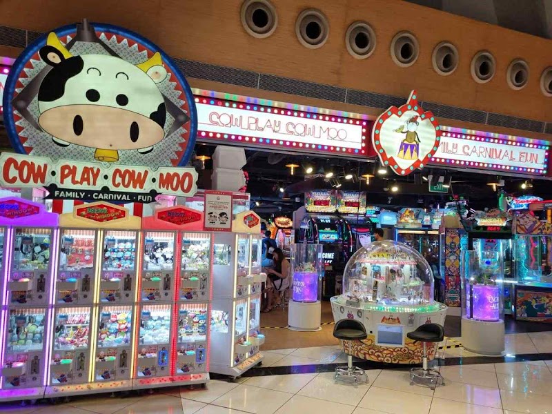 Cow Play Cow Moo Singapore