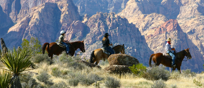Cowboy Trail Rides photo 2