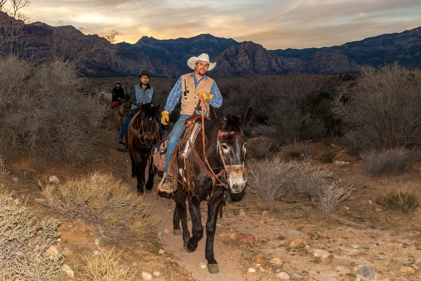 Cowboy Trail Rides photo 3