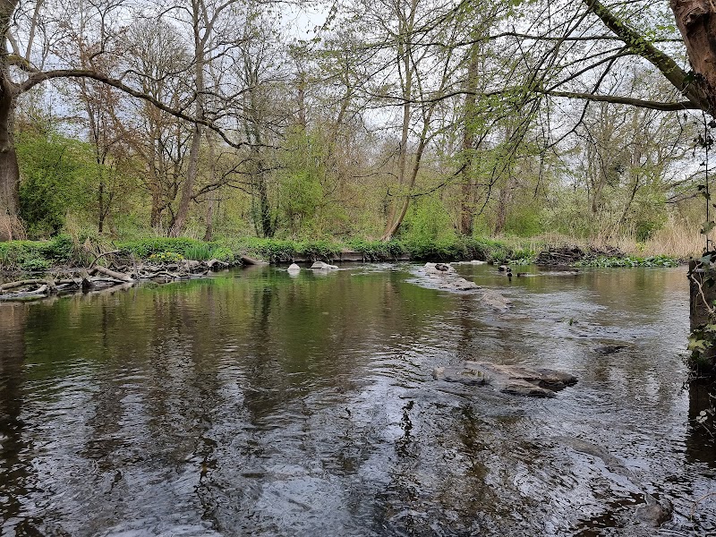 Crane Park Island, London Wildlife Trust