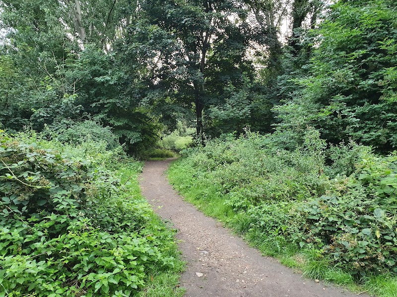 Crane Park Island, London Wildlife Trust photo 2