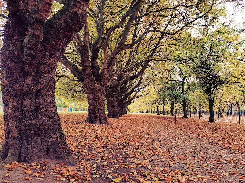 Cringle Park photo 2