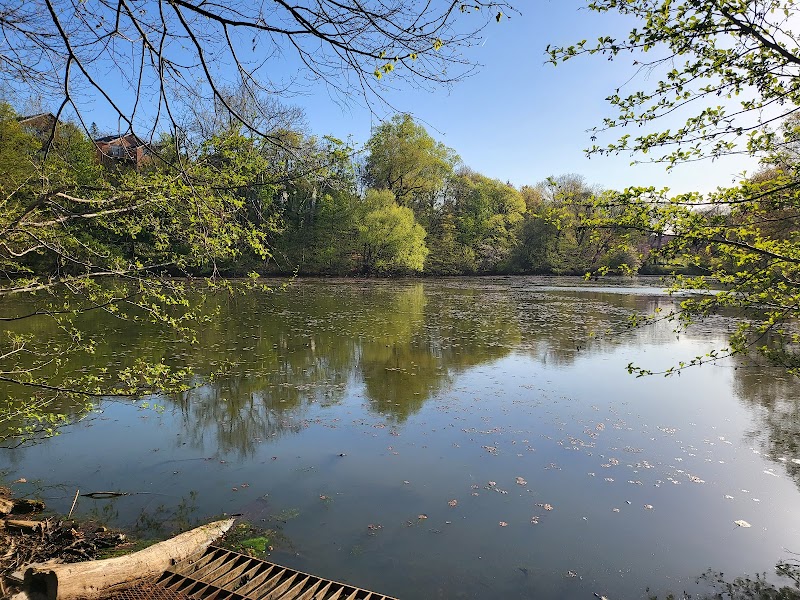 Crocheron Park photo 3