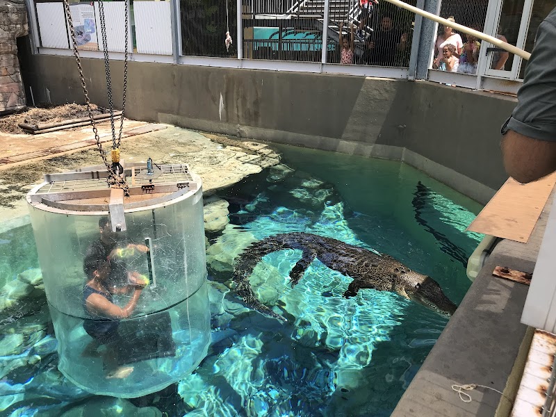 Crocosaurus Cove photo 2