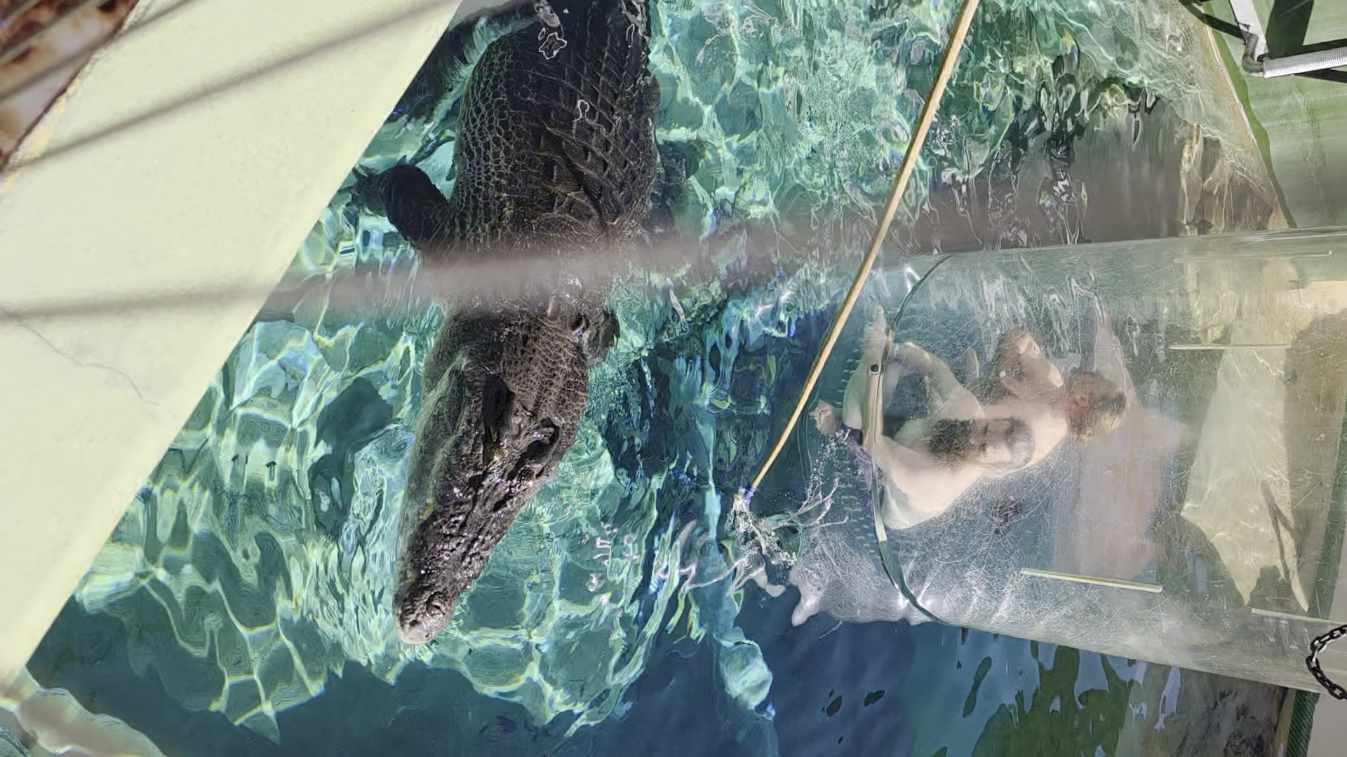 Crocosaurus Cove photo 2