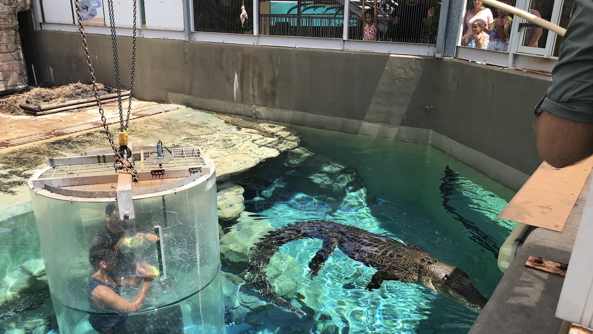 Crocosaurus Cove photo 3