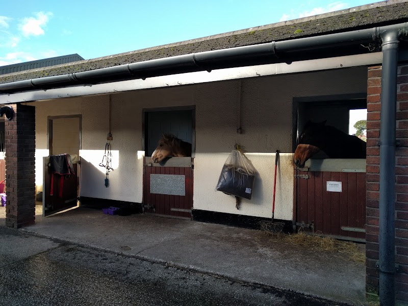 Croft End Equestrian Centre photo 3