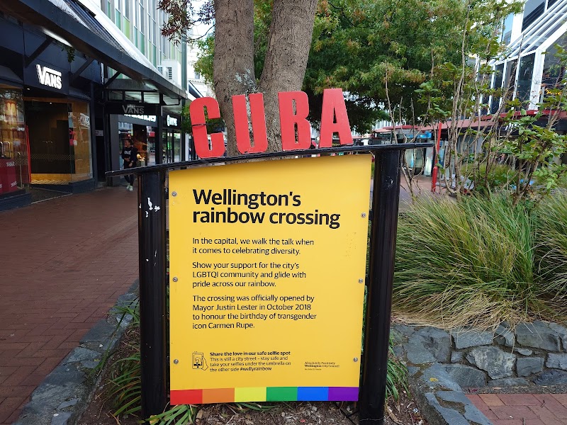Cuba Street Playground photo 2