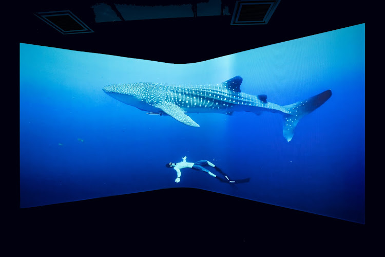 Cube O Discovery Park