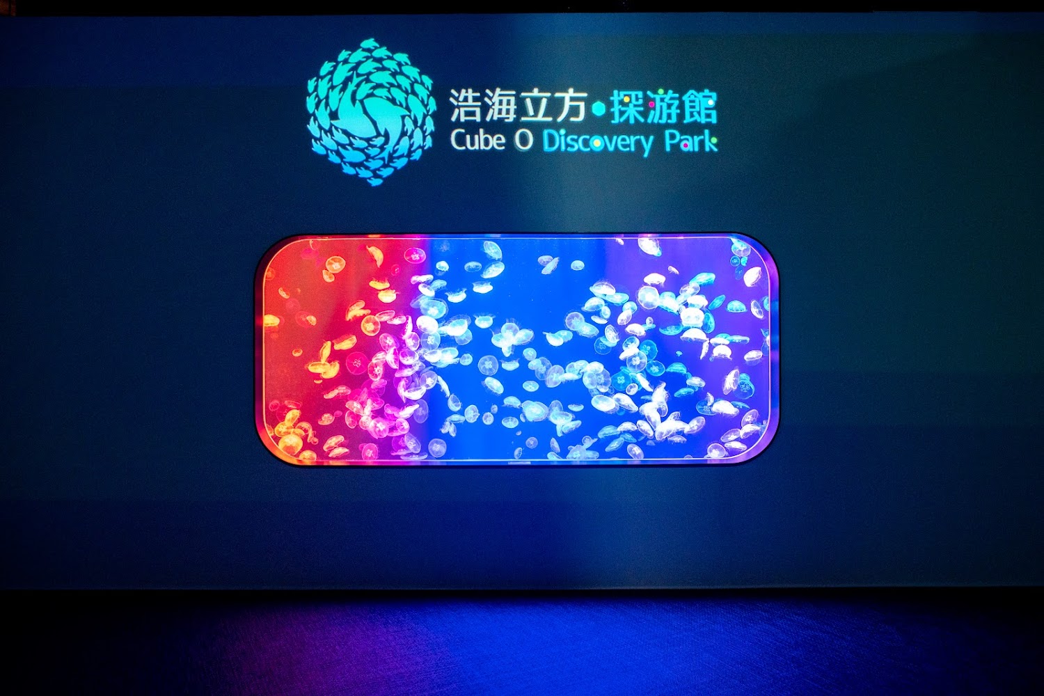 Cube O Discovery Park photo 2