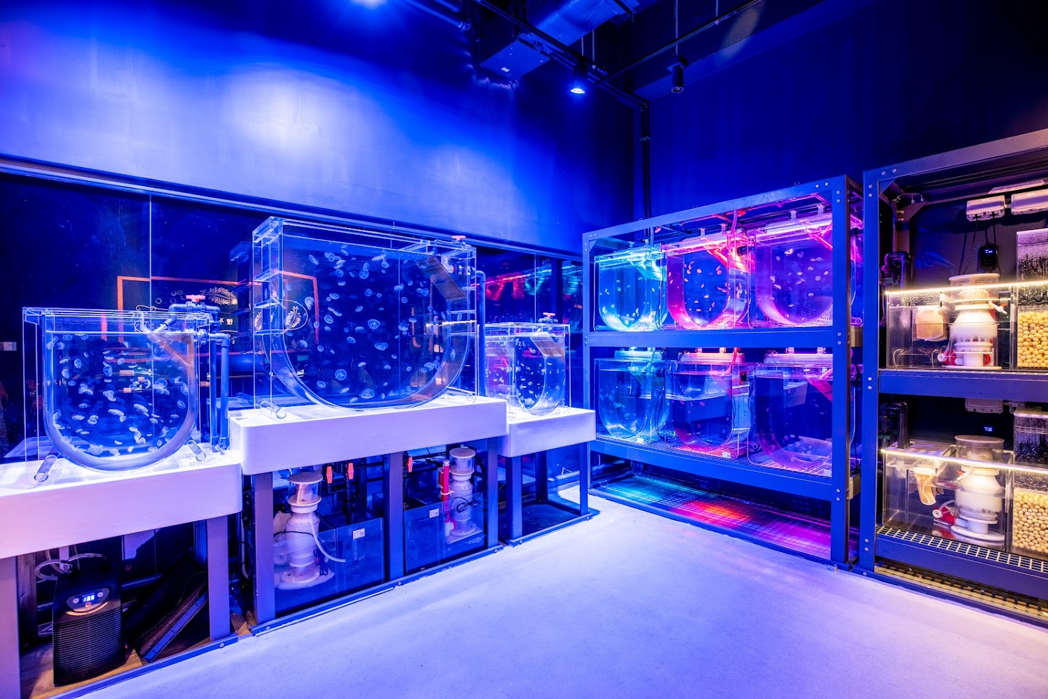 Cube O Discovery Park photo 4